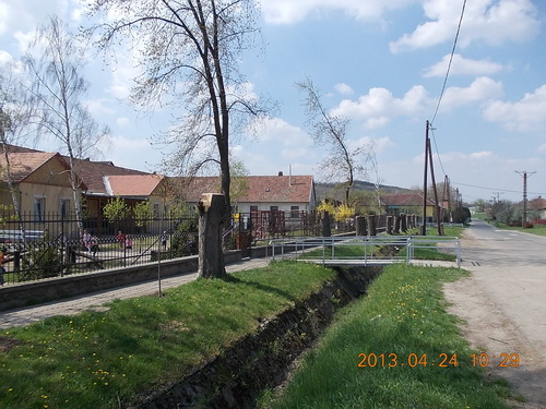 óvodai fák